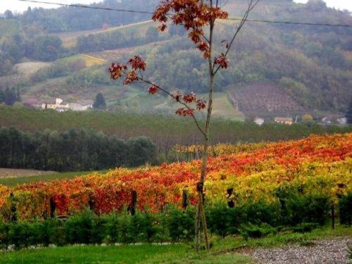 فيلا San Marzano Olivetoفي Agriturismo Le Due Cascine المظهر الخارجي الصورة